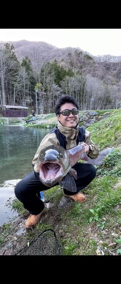 イトウの釣果