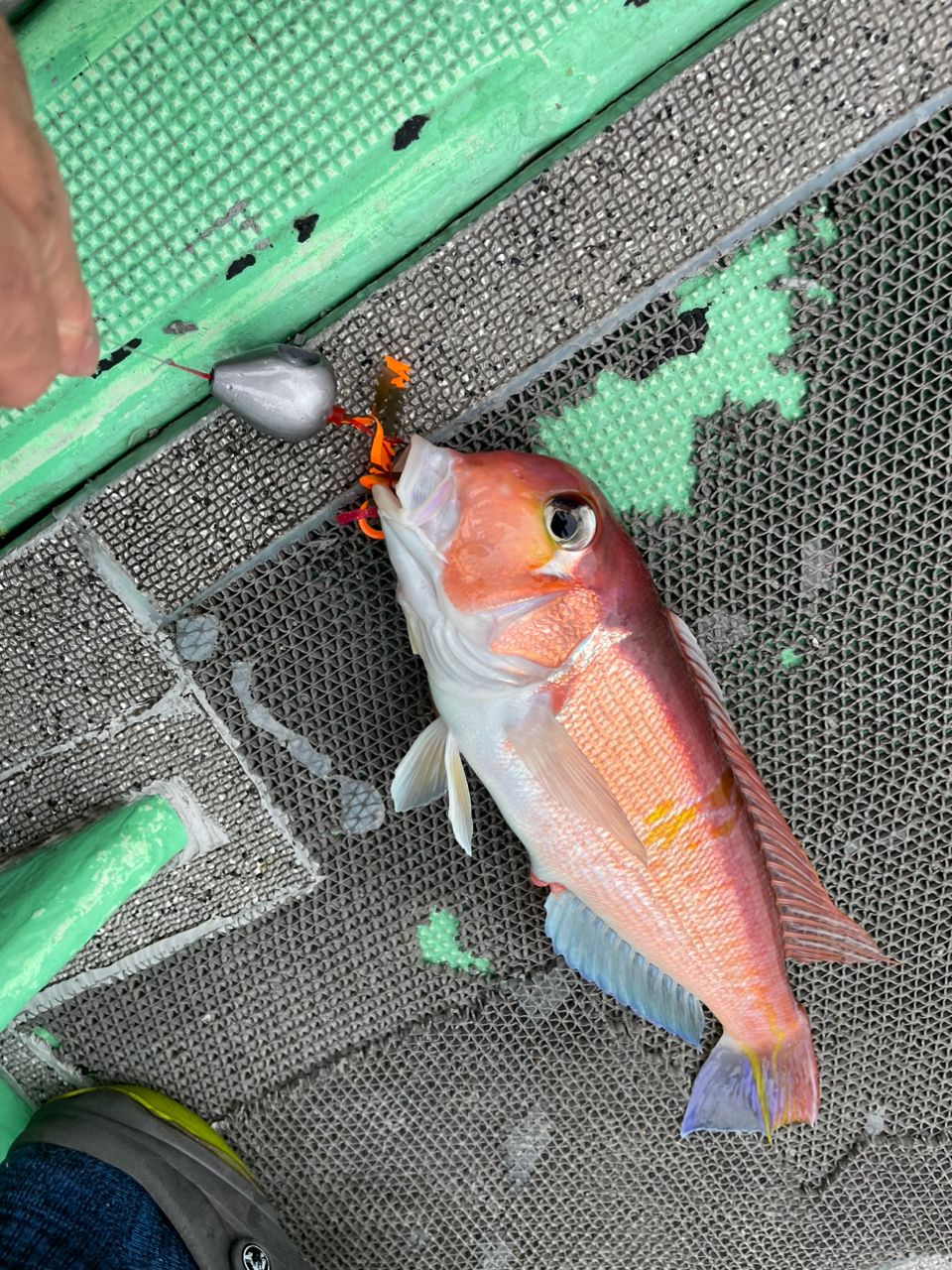 アングラー九州さんの釣果 1枚目の画像