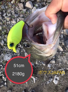 ブラックバスの釣果