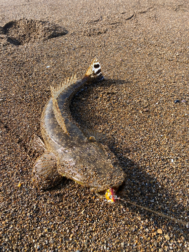 波松海岸