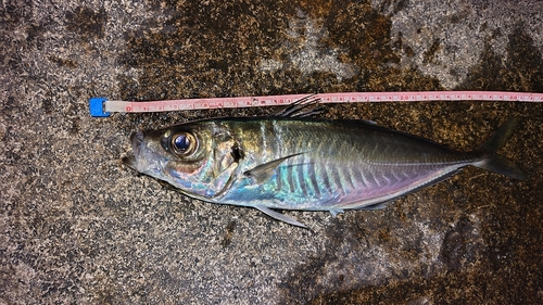 網代浜海水浴場