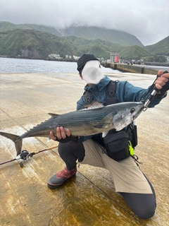 ハガツオの釣果