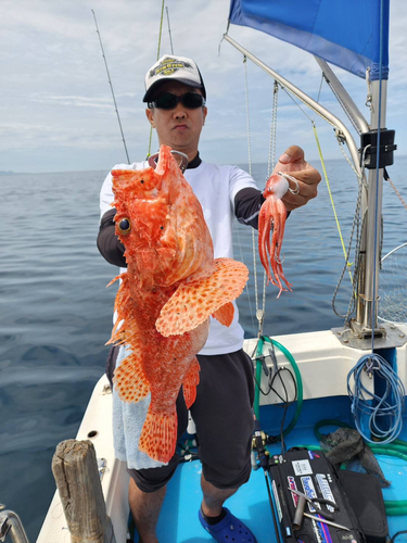 オニカサゴの釣果