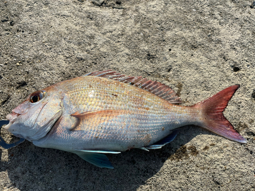 牛窓海水浴場