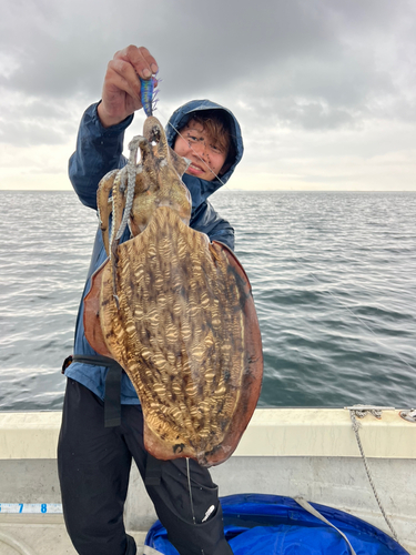 モンゴウイカの釣果