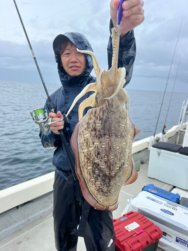 モンゴウイカの釣果