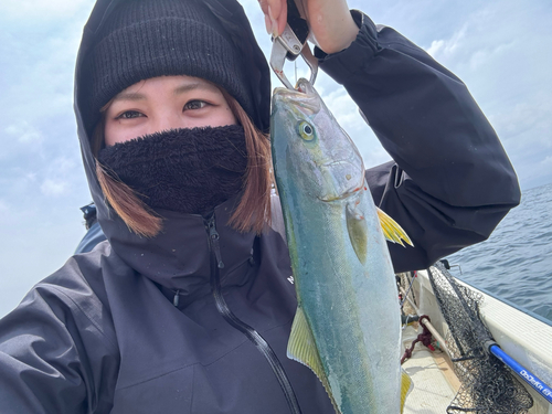 イナダの釣果