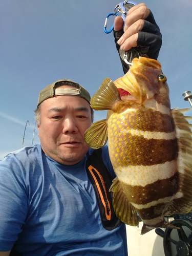 アオハタの釣果