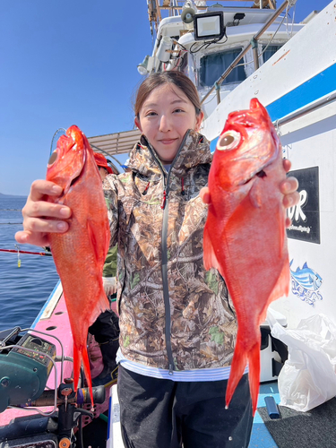 カンパチの釣果