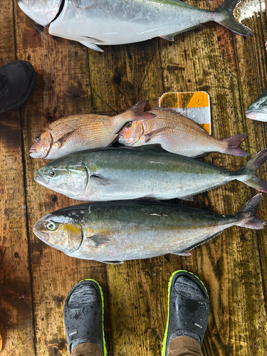 釣果