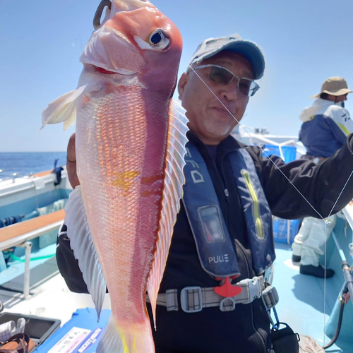 アマダイの釣果