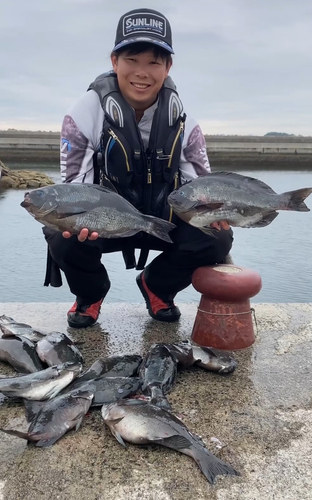 クチブトグレの釣果