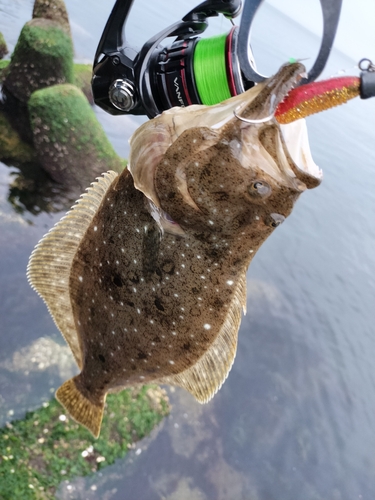 伊勢湾湾奥