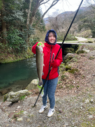 ニジマスの釣果