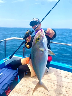 カンパチの釣果