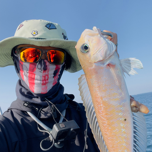 シロアマダイの釣果