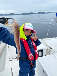 シロアマダイの釣果