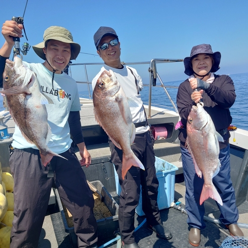 マダイの釣果