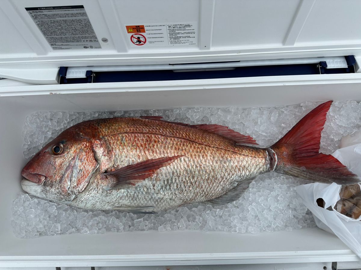 ホクロさんの釣果 1枚目の画像