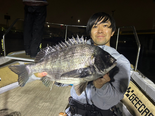 クロダイの釣果