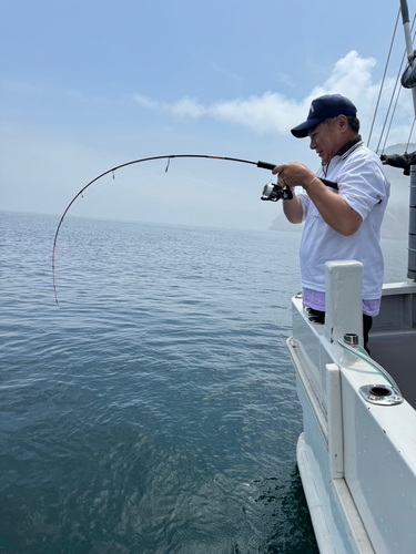 ハマチの釣果