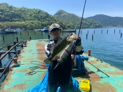 ブラックバスの釣果