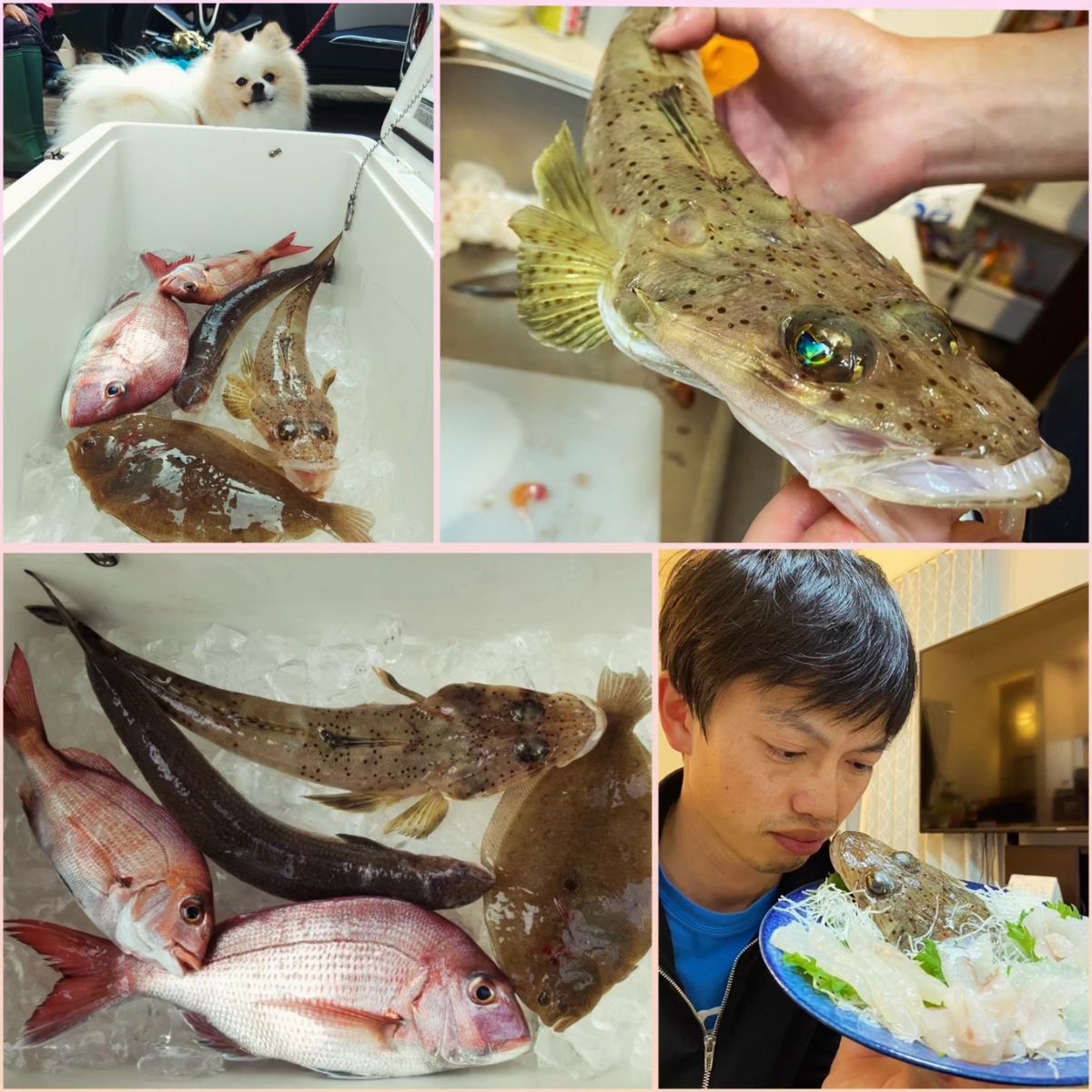 えいたんめんさんの釣果 3枚目の画像