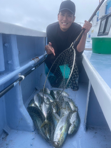 ワカシの釣果