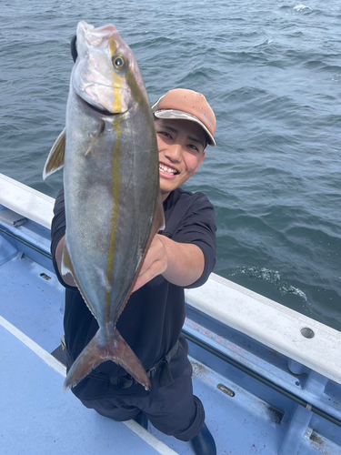 ショゴの釣果