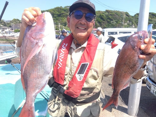 マダイの釣果