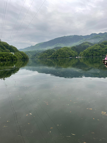 相模湖