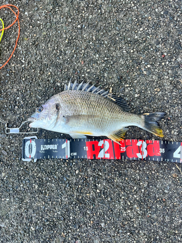 奥浜名湖