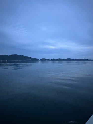 タイの釣果