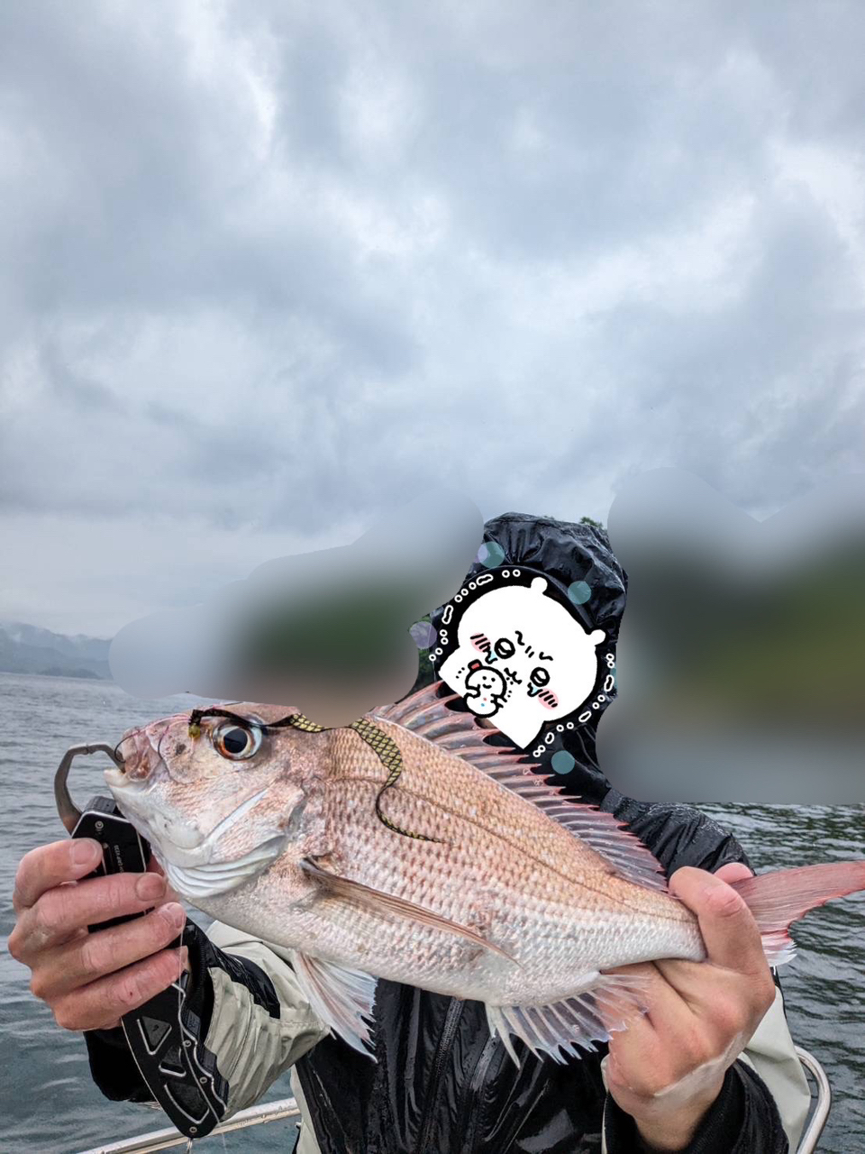 DAIWA 22紅牙 エア N510MB TG・Nの最安値・インプレ・釣果
