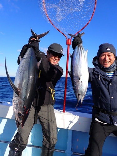 ビンチョウマグロの釣果