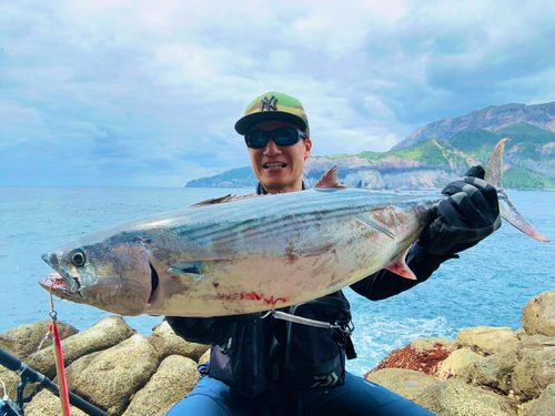 ハガツオの釣果