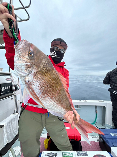 タイの釣果