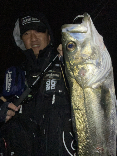 伊勢湾湾奥