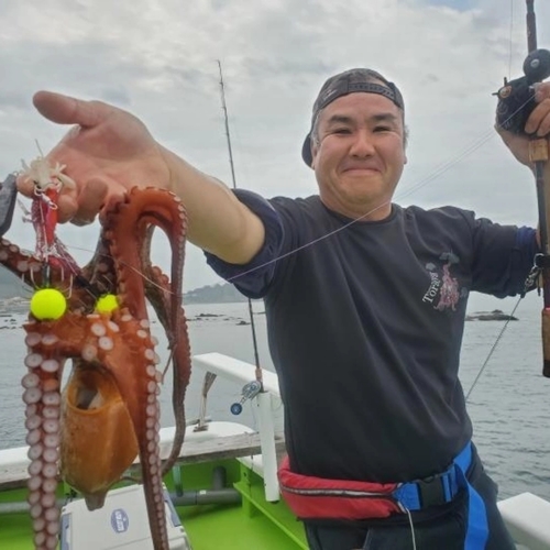 マダコの釣果