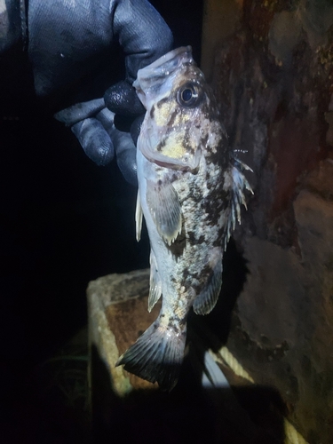 鰺ヶ沢漁港