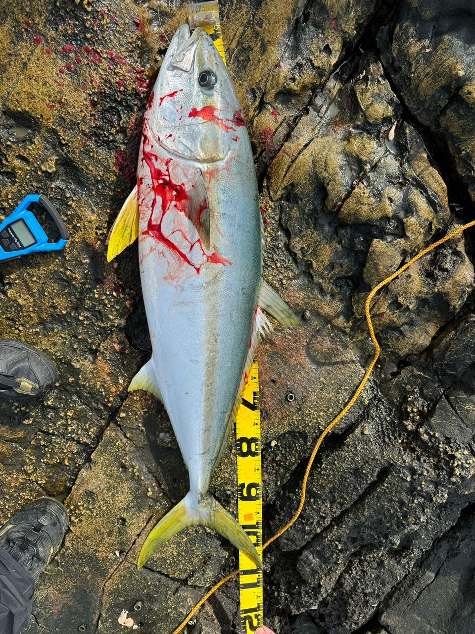 水野わたるさんの釣果 3枚目の画像