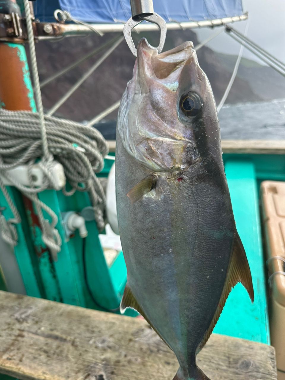 Jabeさんの釣果 1枚目の画像