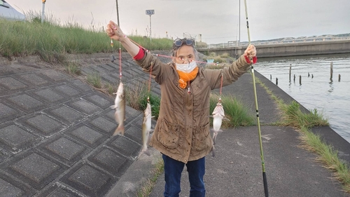 アメリカナマズの釣果