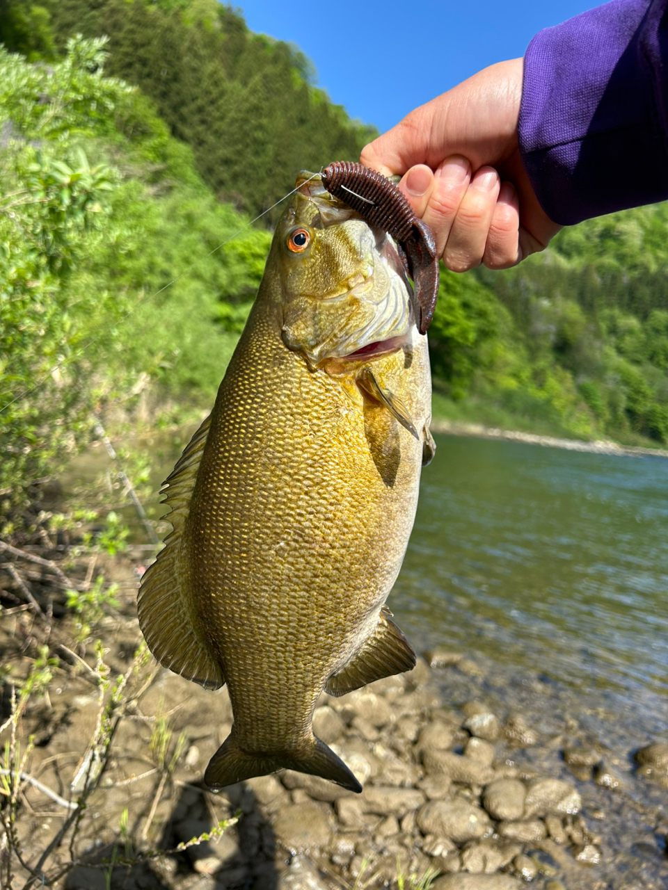 スモールマウスバス