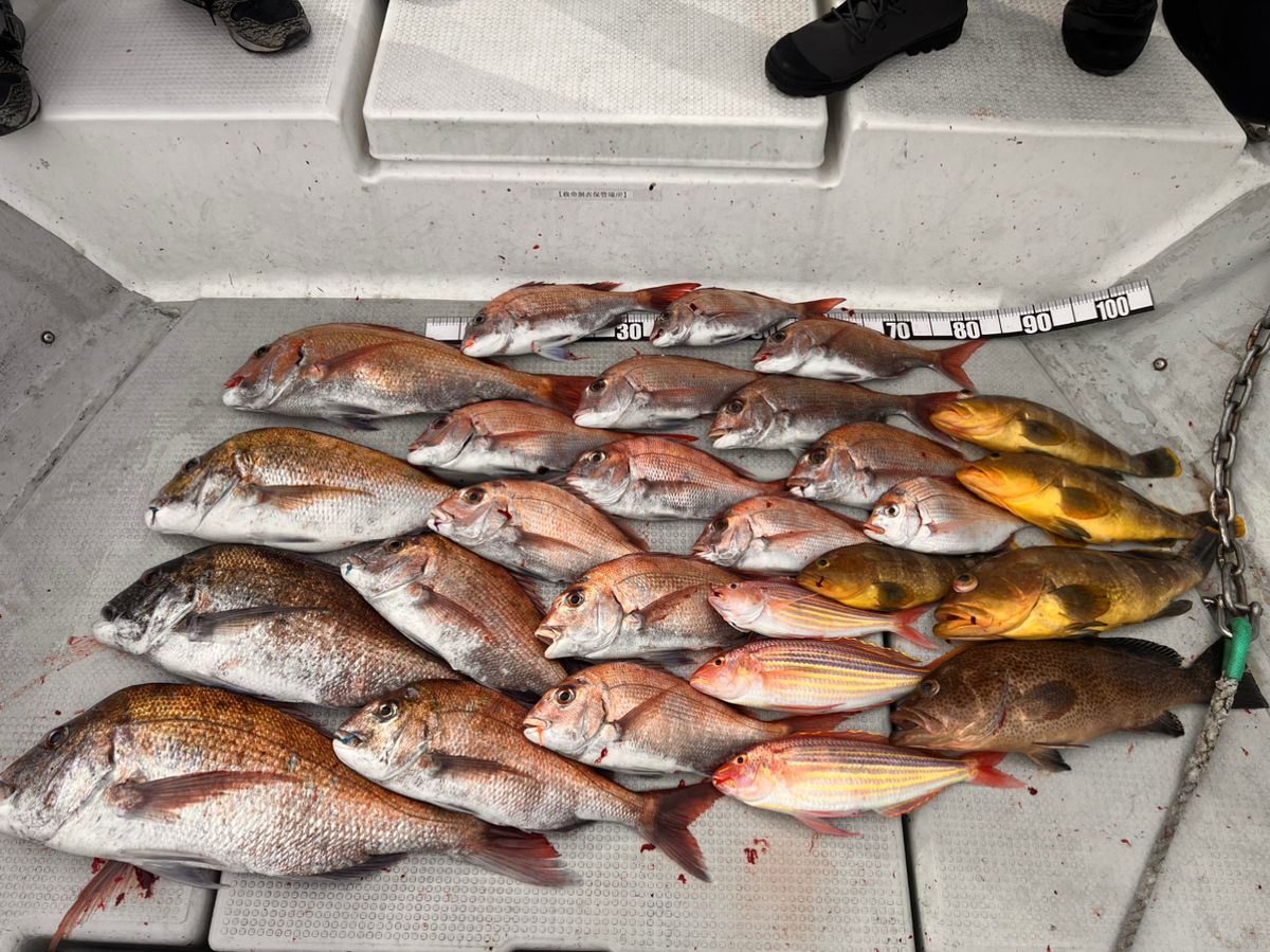 釣カエルくんさんの釣果 1枚目の画像