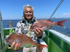 マダイの釣果