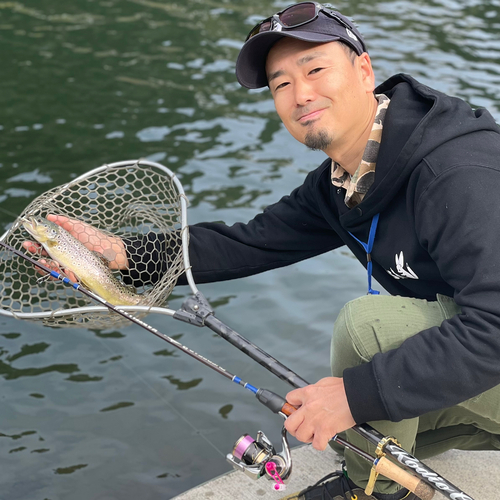 ブラウントラウトの釣果