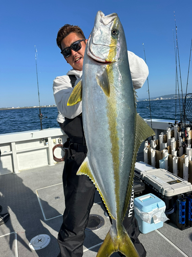 ヒラマサの釣果