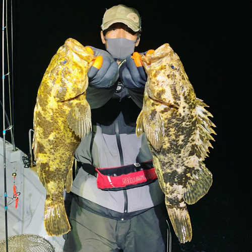 タケノコメバルの釣果