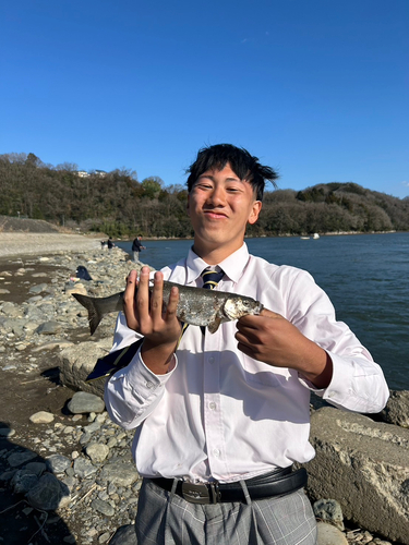 桂川（山中湖〜相模湖）下流